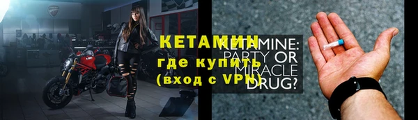 шишки Верея
