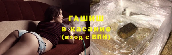 шишки Верея