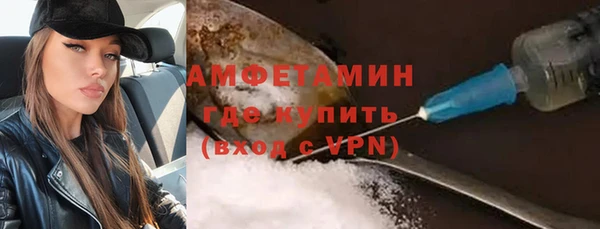 шишки Верея