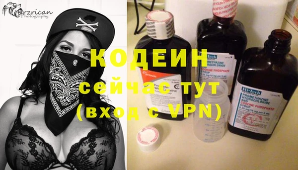 шишки Верея