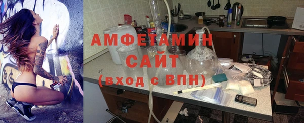 молекула духа Богородск