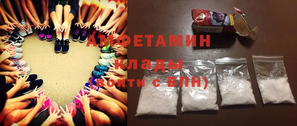 шишки Верея
