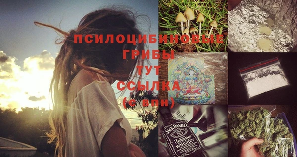 альфа пвп Бородино
